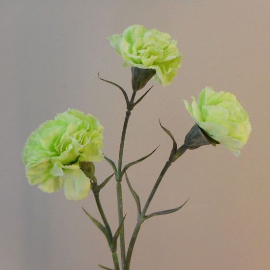 Green carnations on sale